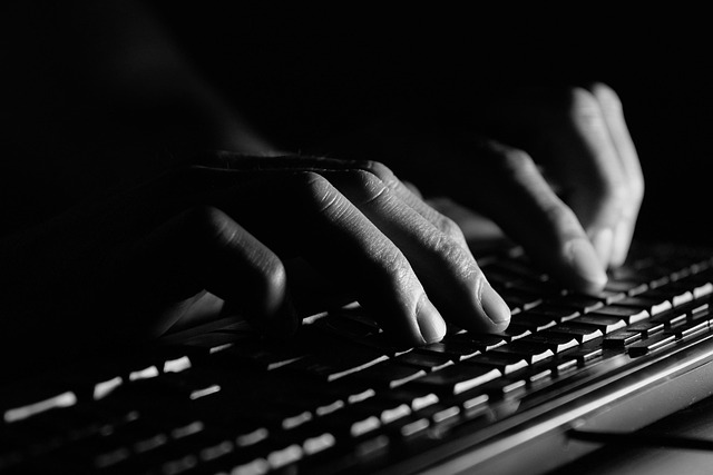 Bild von ROBERT SŁOMA auf Pixabay